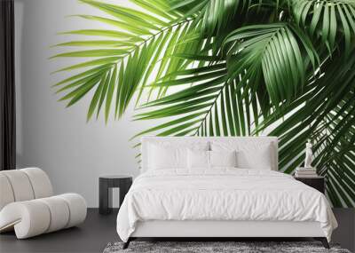 Palm leaves isolated on transparent background With clipping path. cut out. 3d render Wall mural